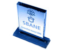 2007 SBANE New England Innovation Award