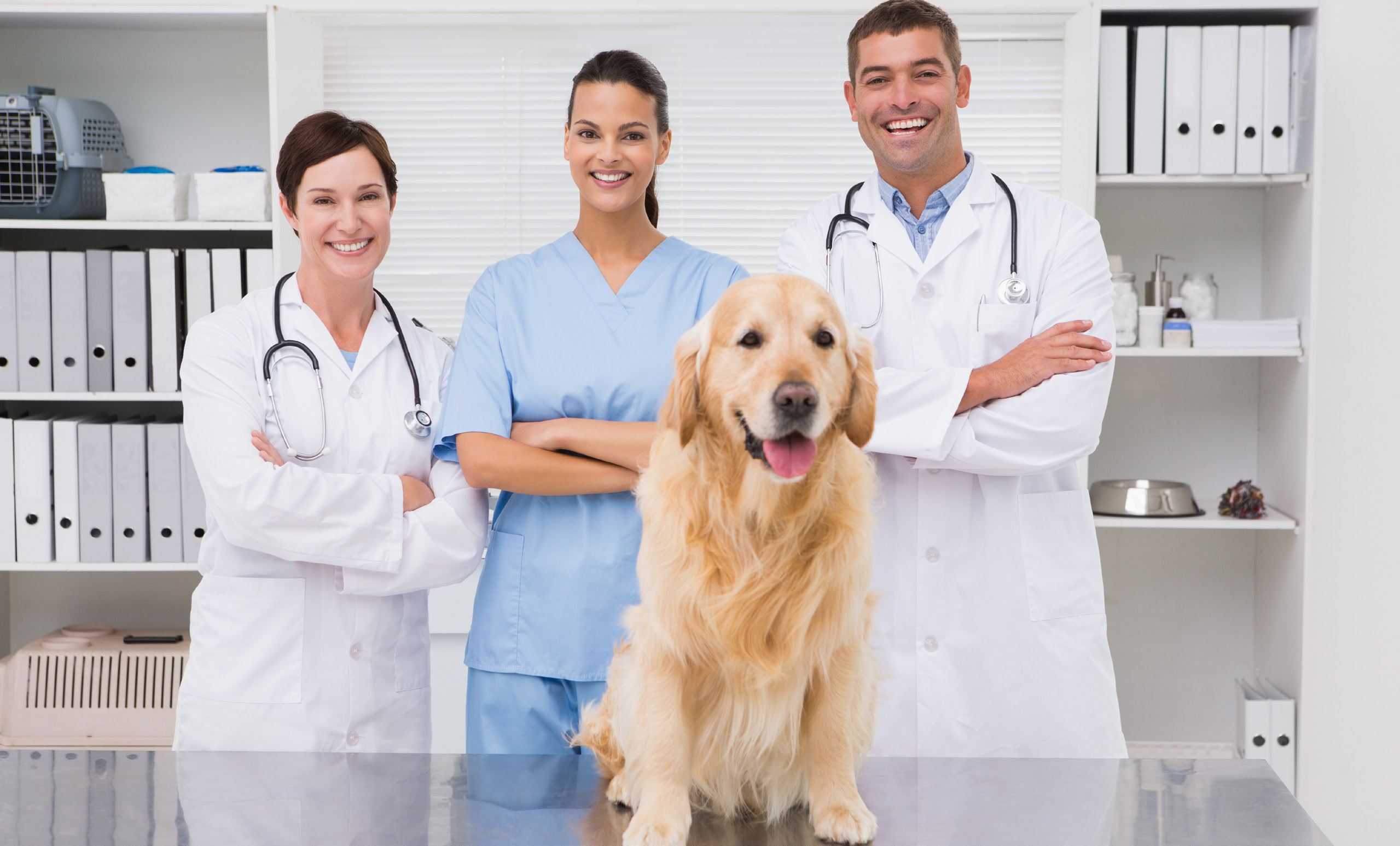 VetTom-Vetnerinary-CT-1